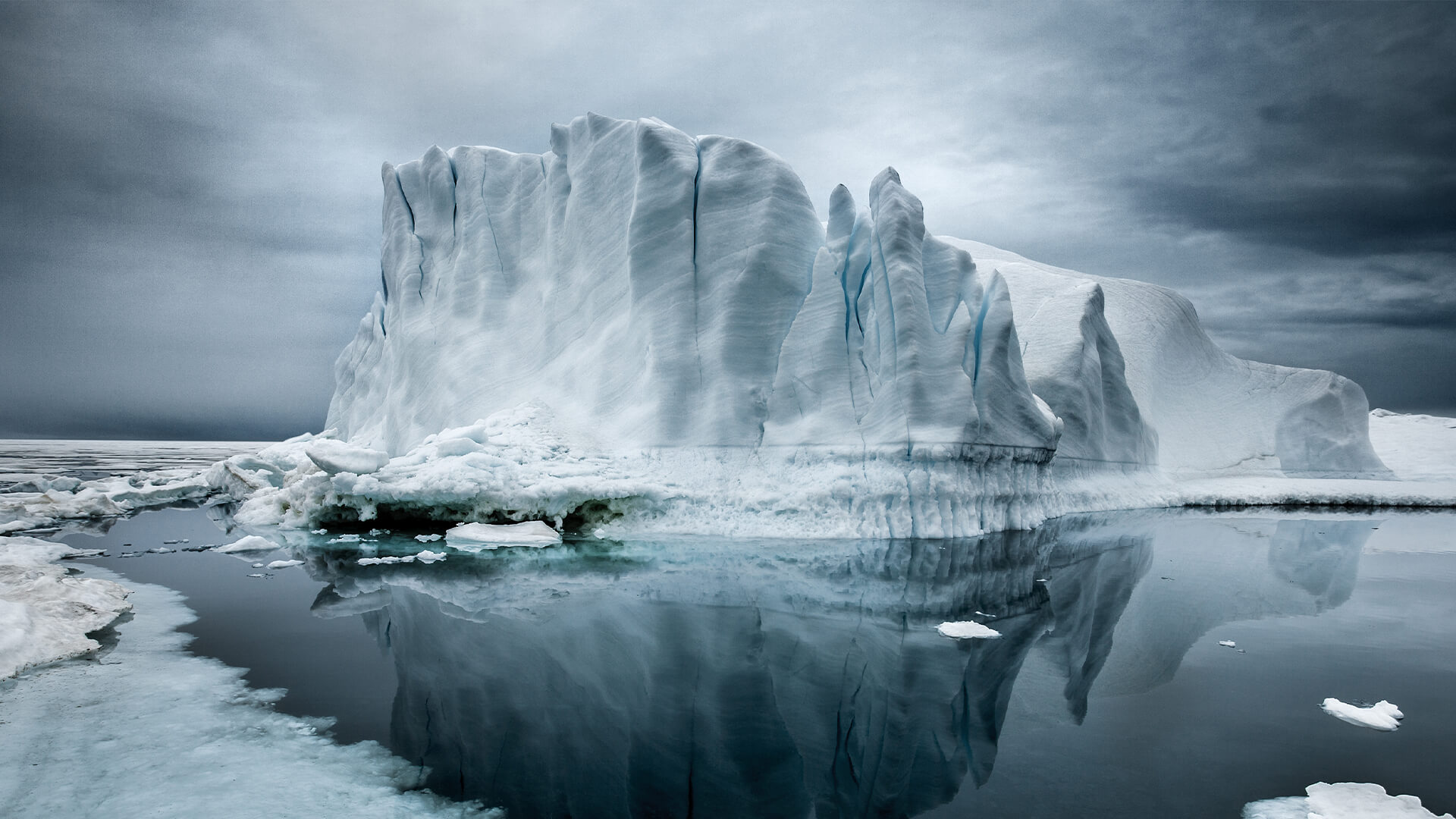 Sebastian Copeland picture